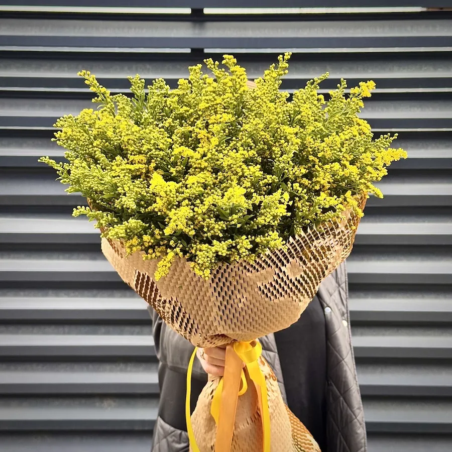 Букет из 15 солидаго