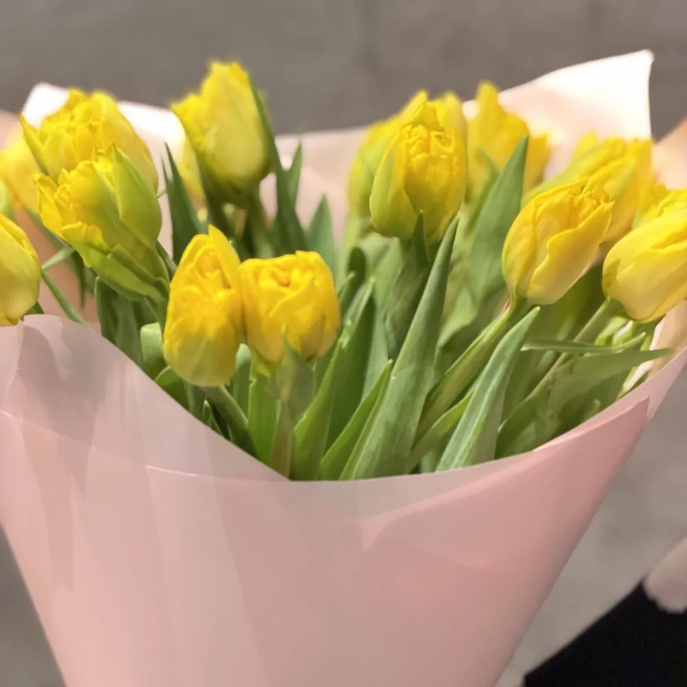 25 тюльпанов