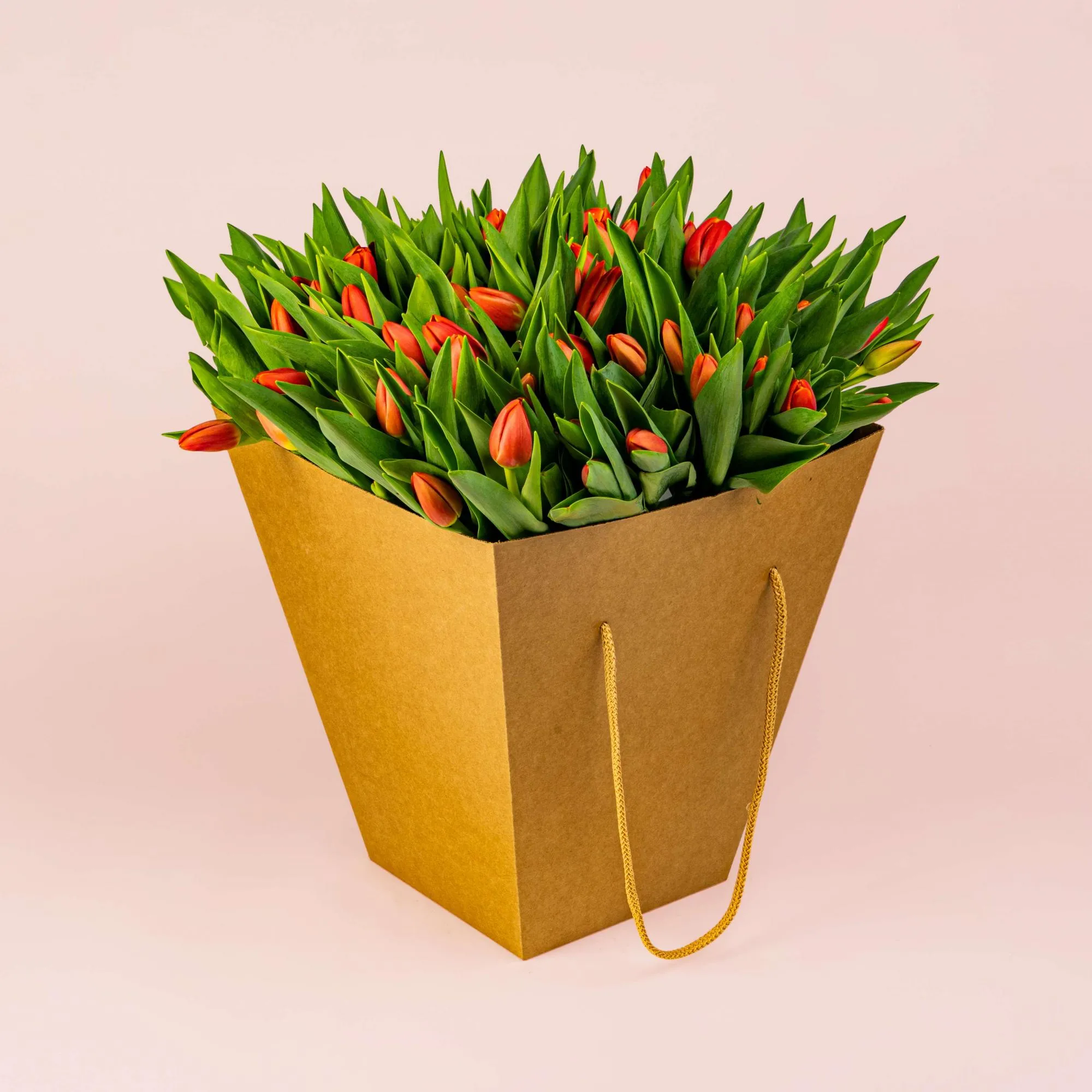 101 красный тюльпан в коробке