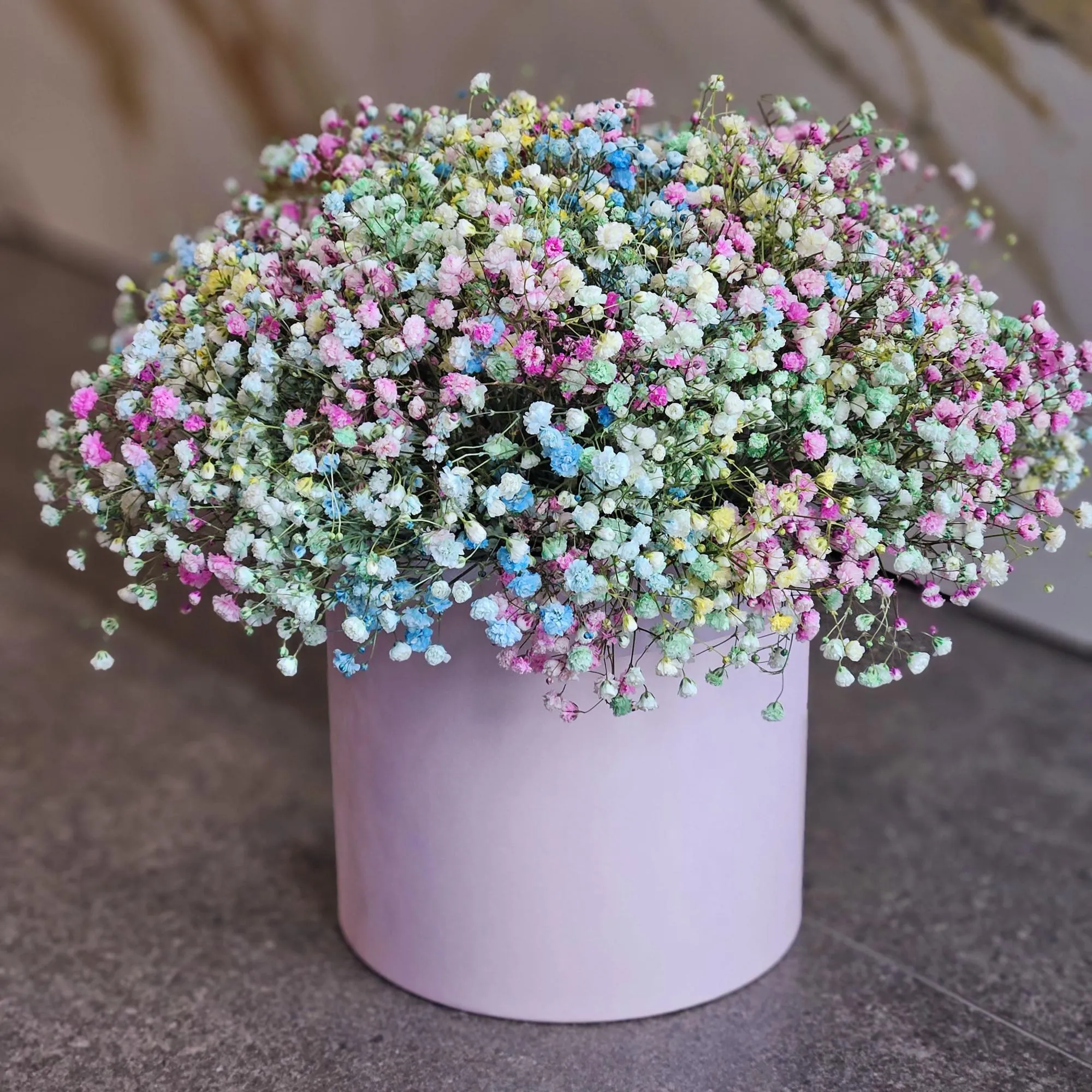 15 гипсофила в коробке