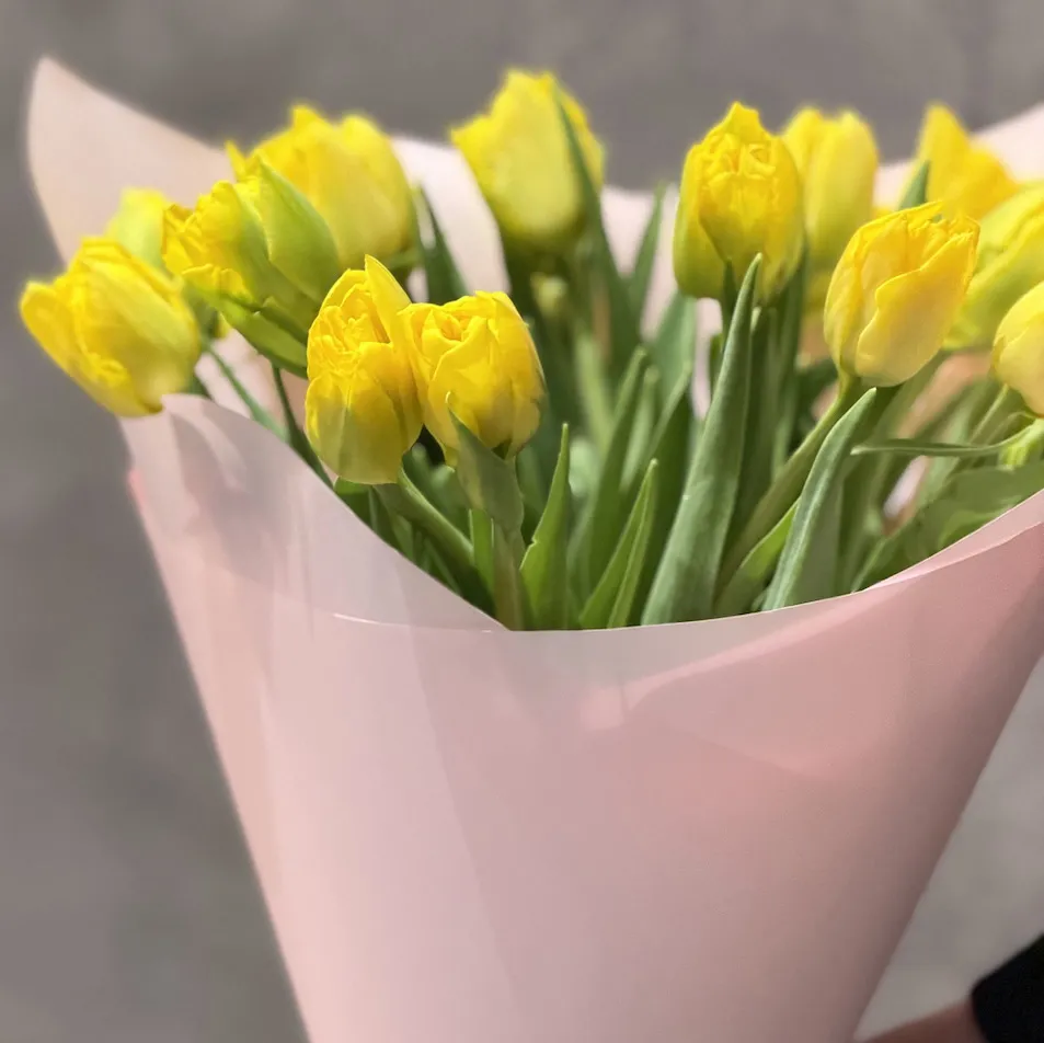 25 тюльпанов