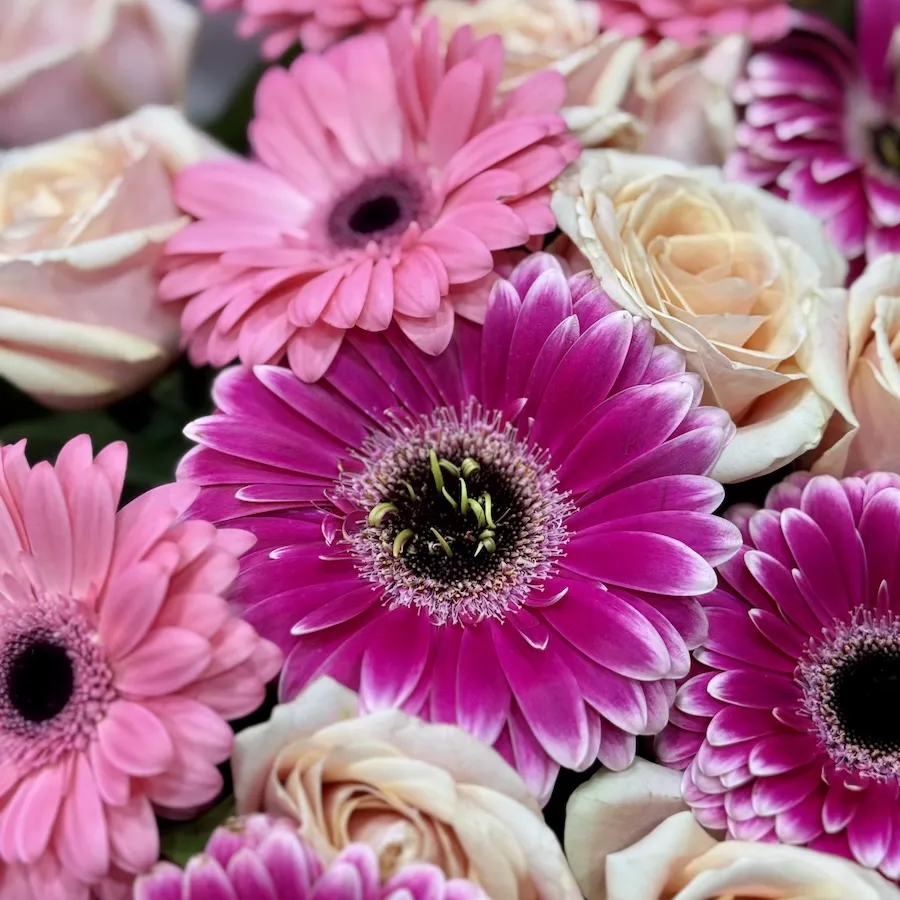 Букет из роз и гербер большой