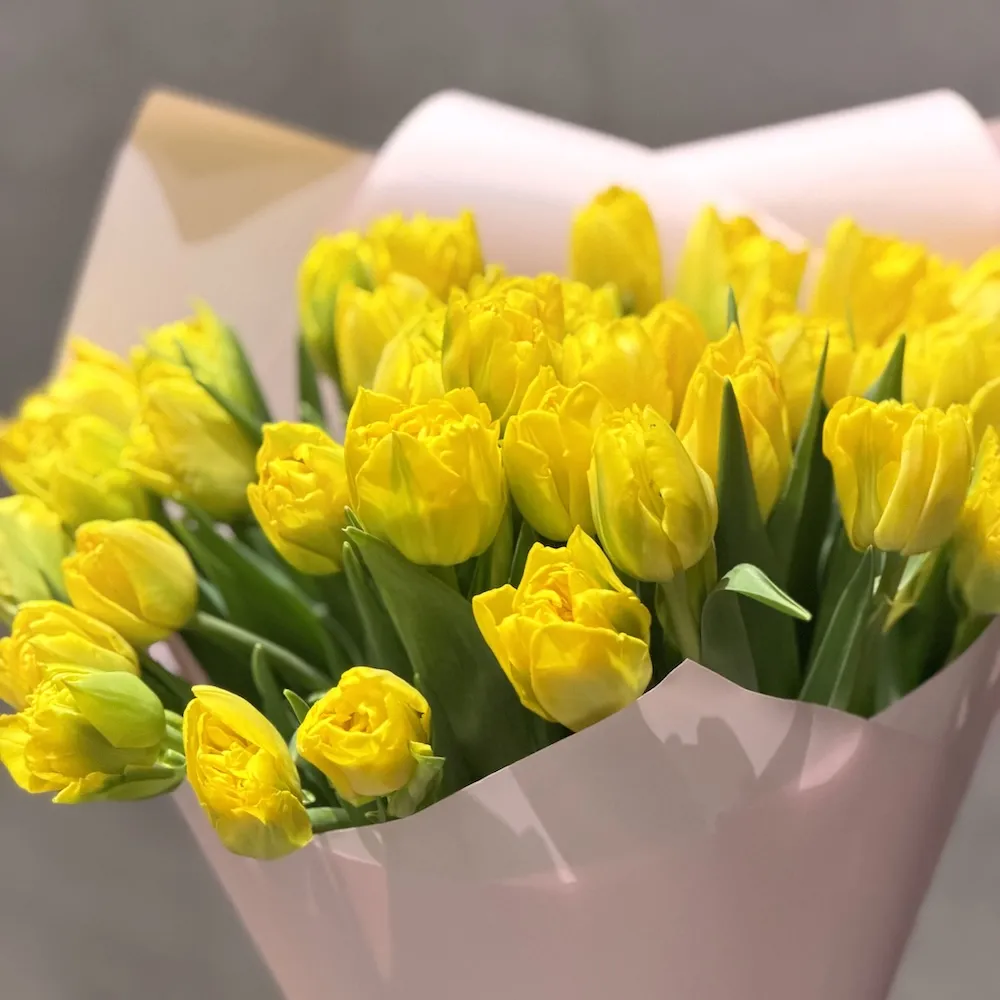 35 тюльпанов