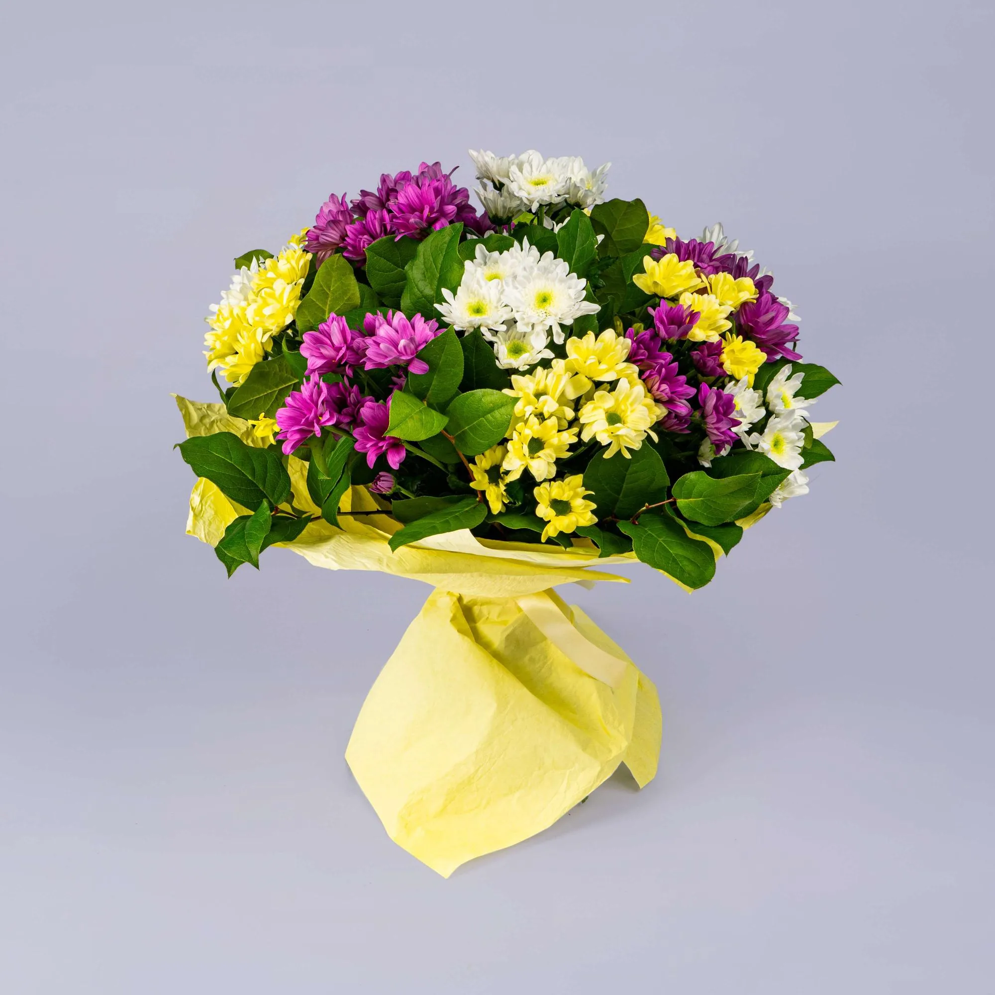 15 хризантем микс