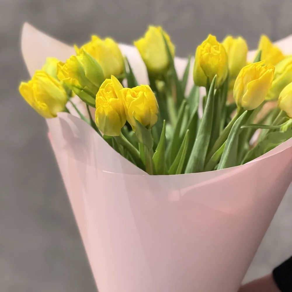 15 тюльпанов