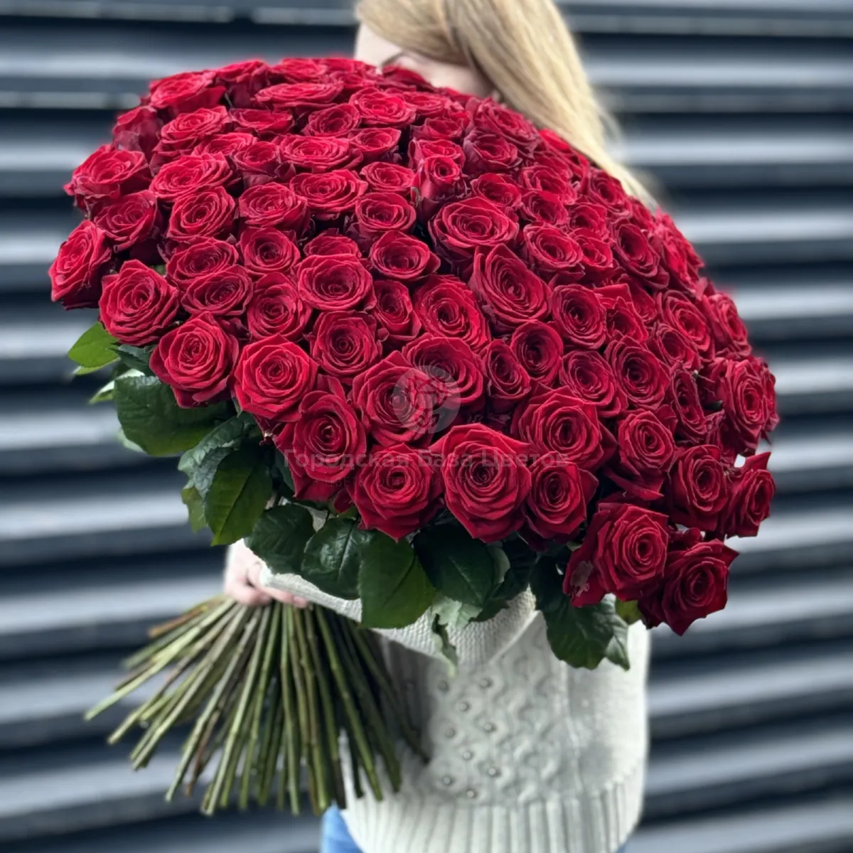Букет 101 красная роза эквадор (70см)