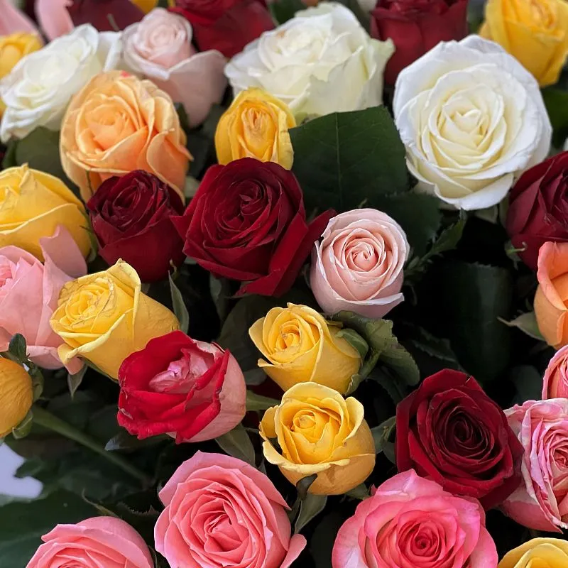 301 роза микс (70 см)