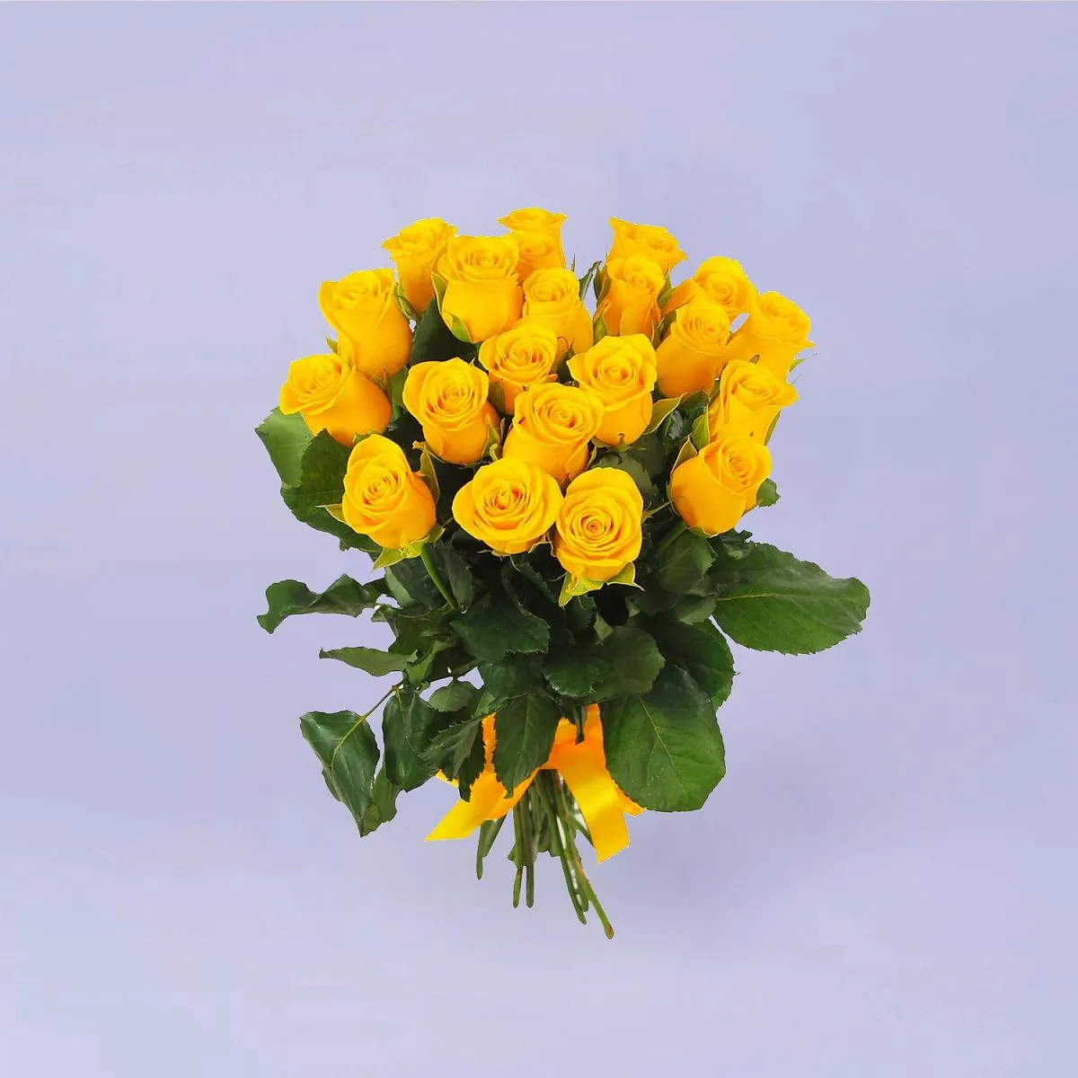 63 желтые розы (50 см)