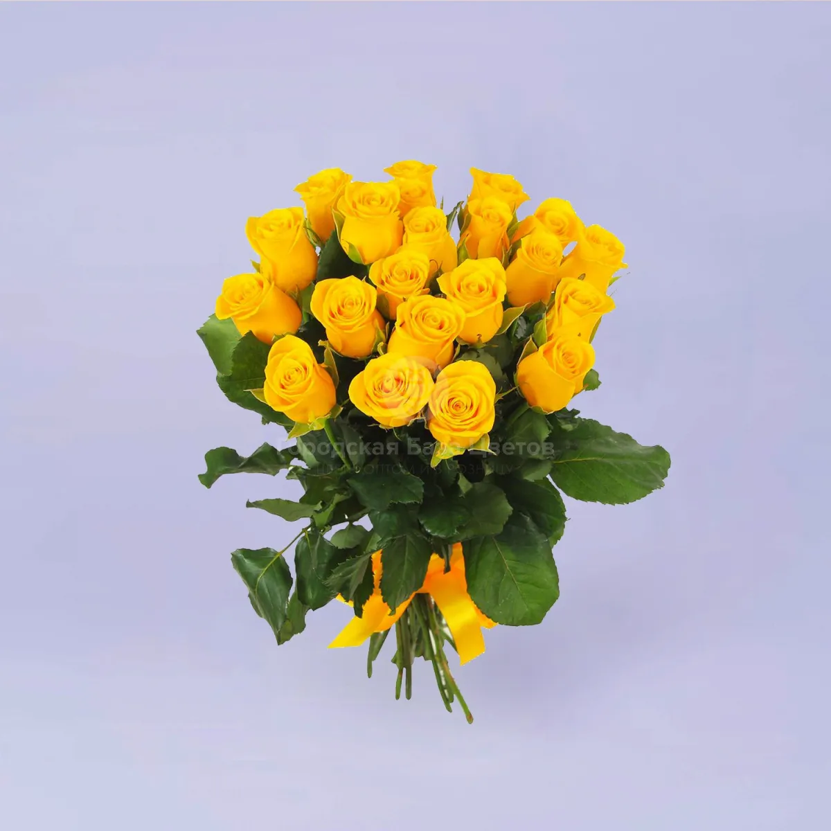93 желтых роз (50 см)