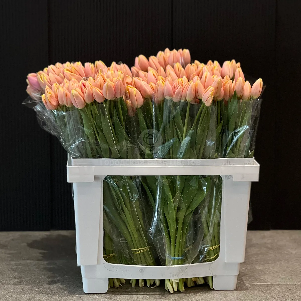 53 коралловых тюльпана фото №5 53 коралловых тюльпана