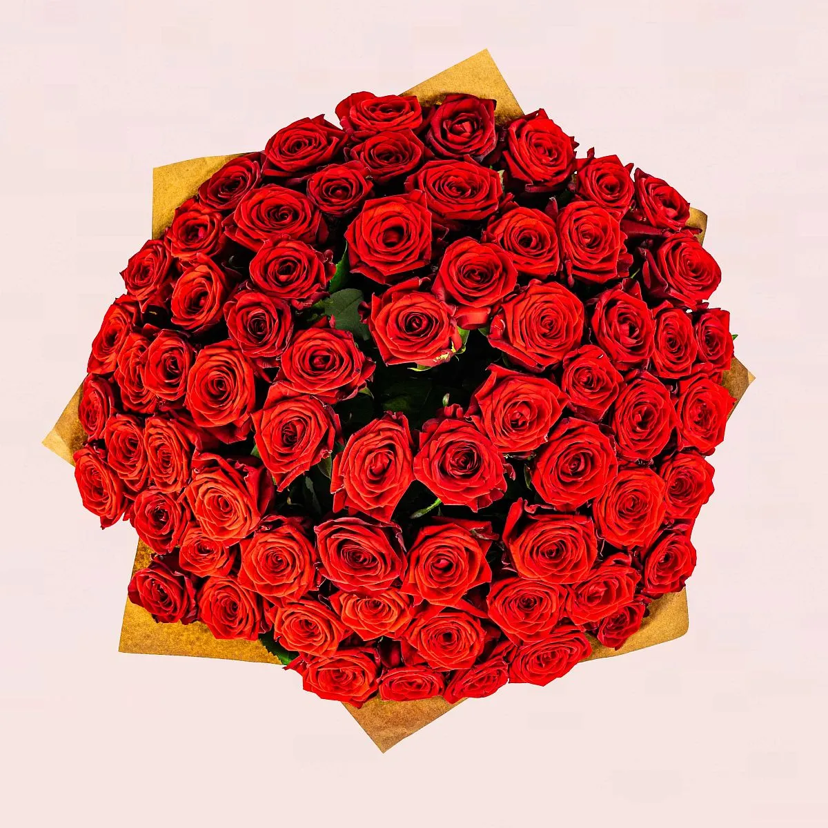 97 красных роз (60 см)