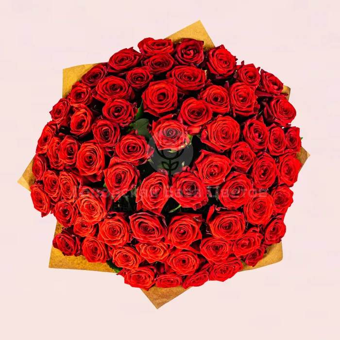 77 красных роз (50 см)