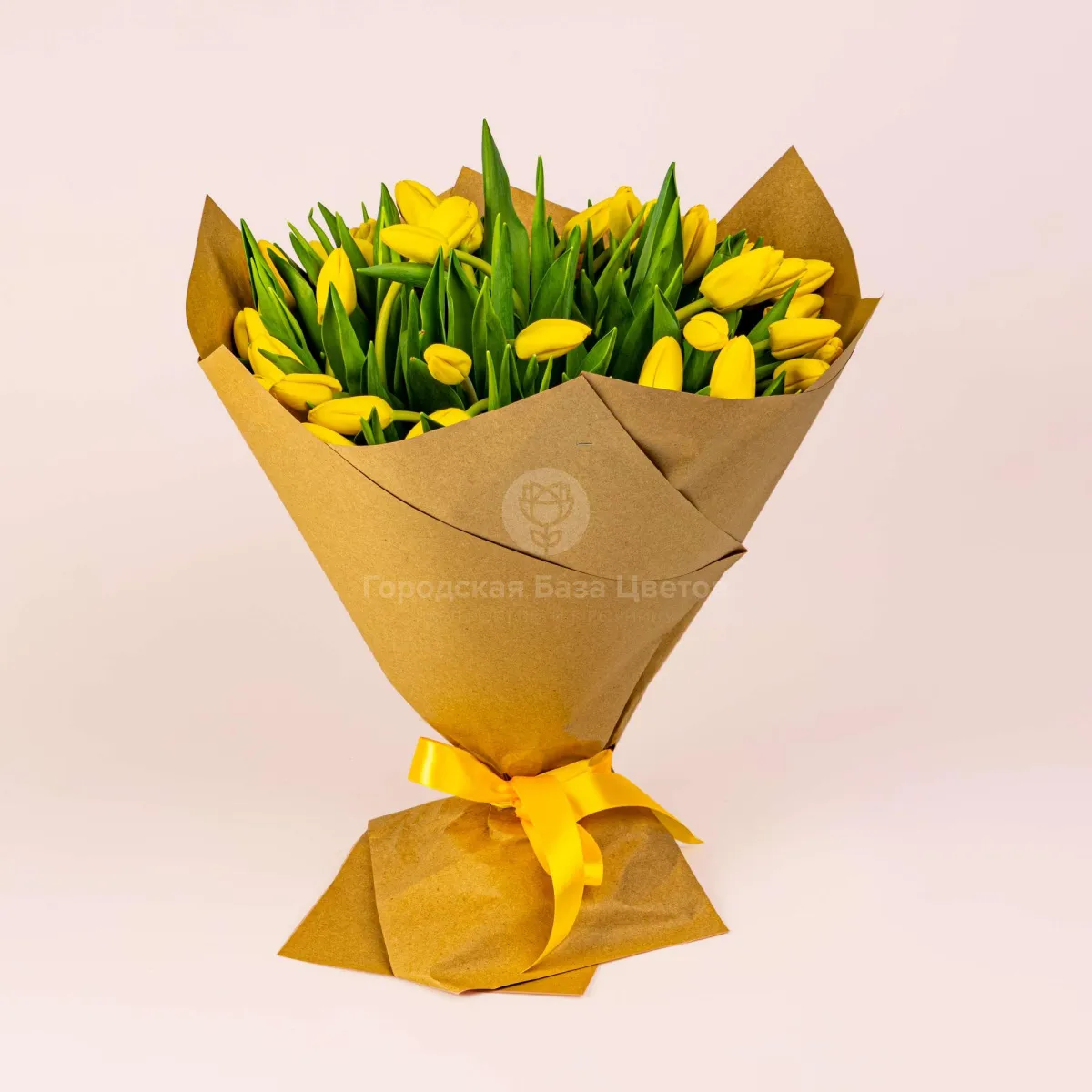 51 жёлтый тюльпан фото №1 51 жёлтый тюльпан