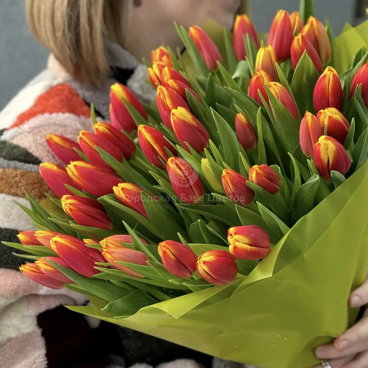 45 красно-жёлтых тюльпанов фото №3 45 красно-жёлтых тюльпанов