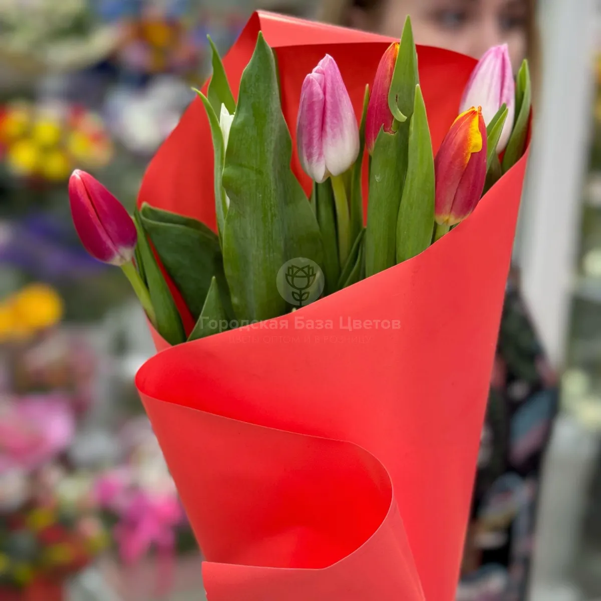 5 тюльпанов (5 букетов) фото №1 5 тюльпанов (5 букетов)