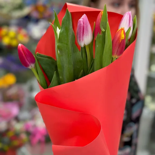 5 тюльпанов (5 букетов) фото №1 5 тюльпанов (5 букетов)