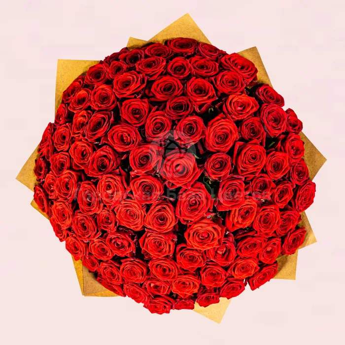 101 красная роза (40 см)