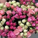 29 бело-розовых кустовых роз