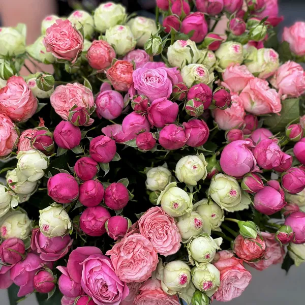23 бело-розовых кустовых роз