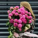 23 розовых пиона