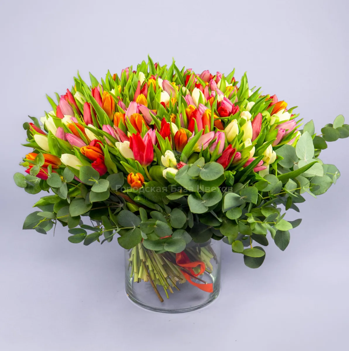 Букет из 201 тюльпана и эвкалипта фото №1 Букет из 201 тюльпана и эвкалипта