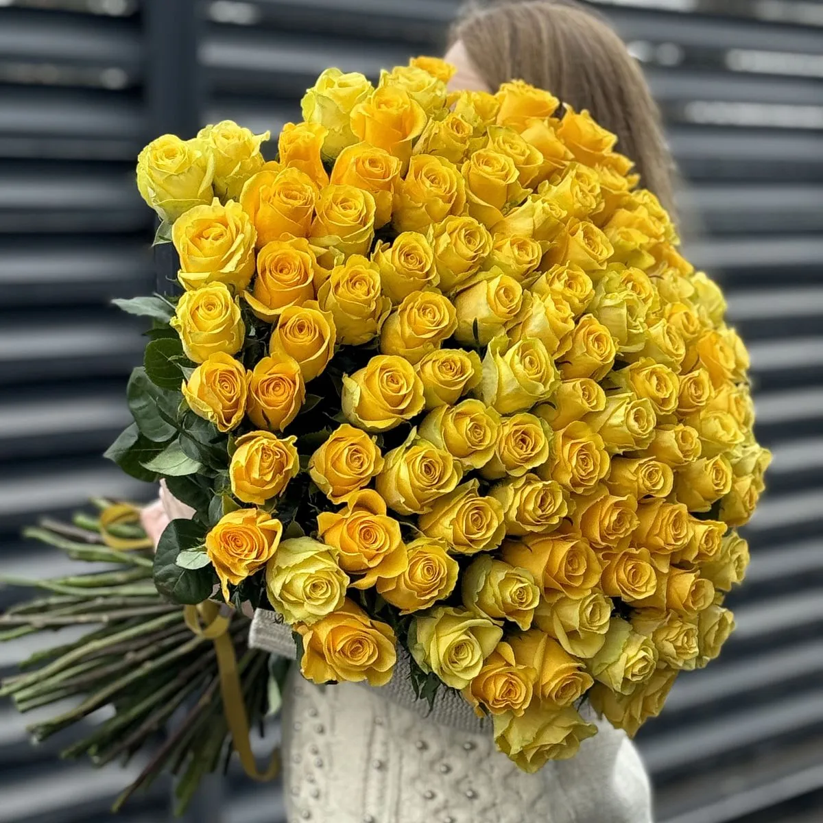 Букет 101 желтая роза эквадор (60см)