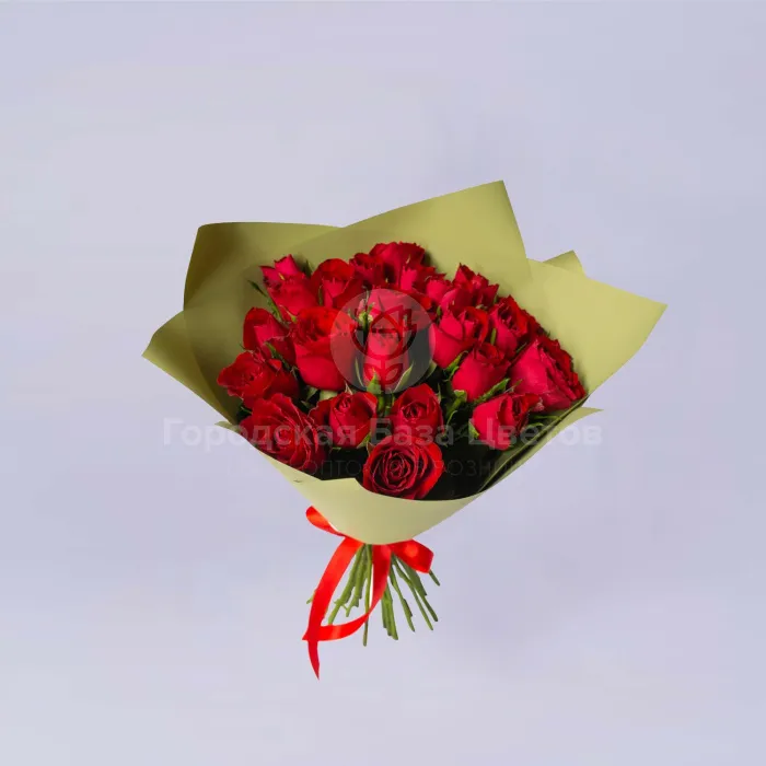23 красные розы (35 см)