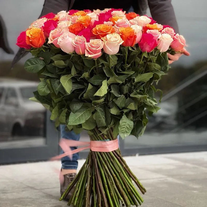 151 роза эквадор микс (70 см)