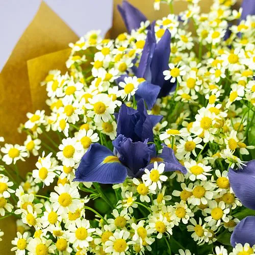 Букет из ирисов и ромашек