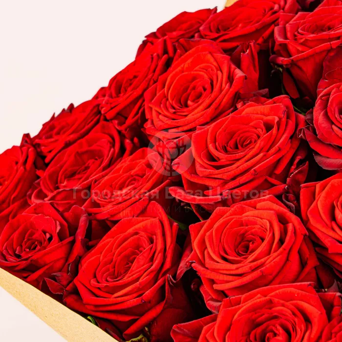 65 красных роз (50 см)
