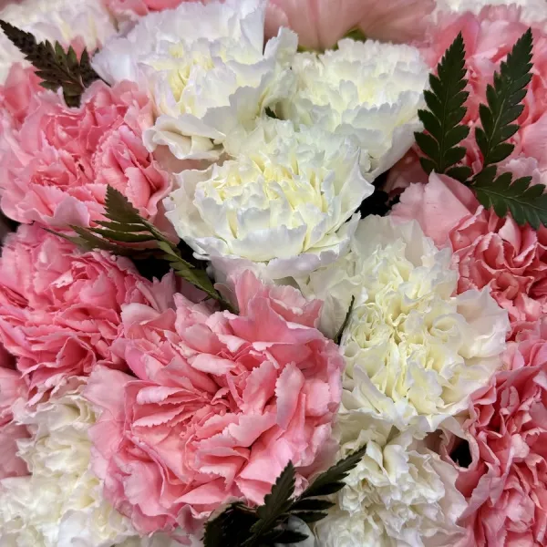 Букет из гвоздик большой