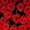 65 красных роз (60 см)