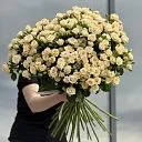 31 жёлтая кустовая роза (70 см)
