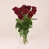 17 бордовых роз (70 см)