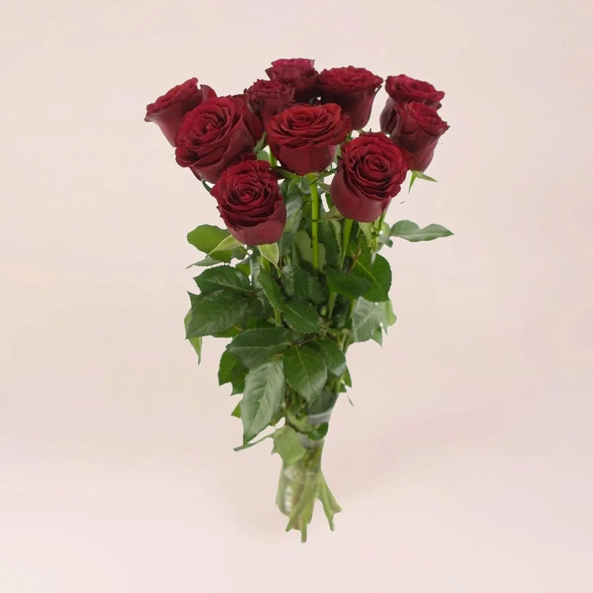 11 бордовых роз (70 см)