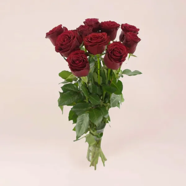 25 бордовых розых (70 см)