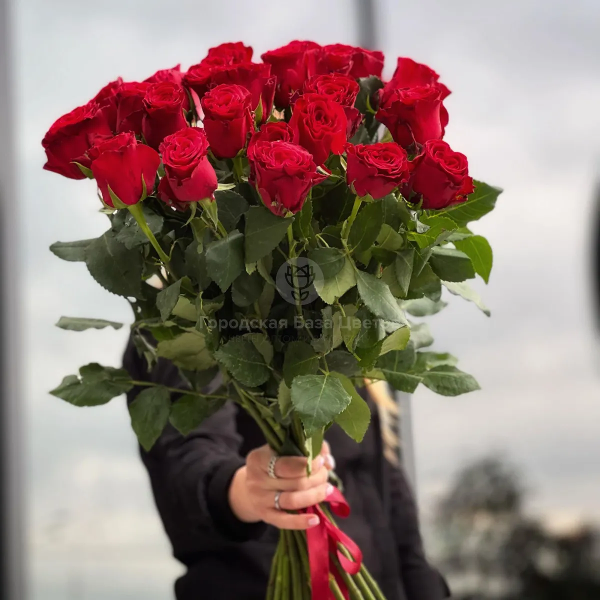 27 красных роз (60 см)