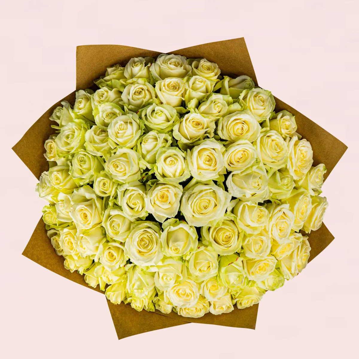 87 бело-зеленых роз (50 см)