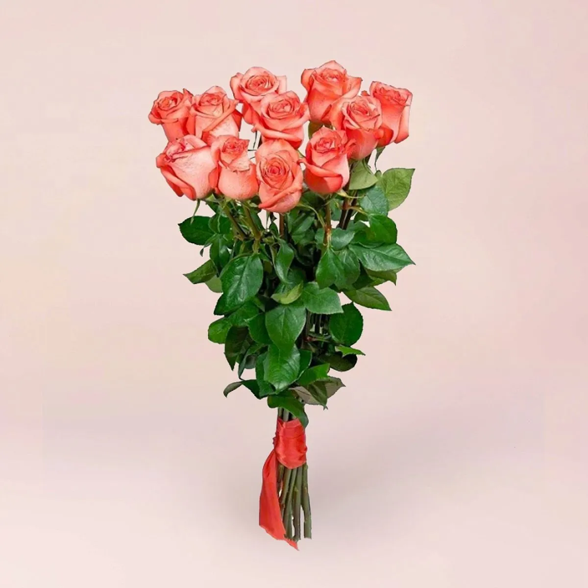 23 оранжевые розы (60 см)