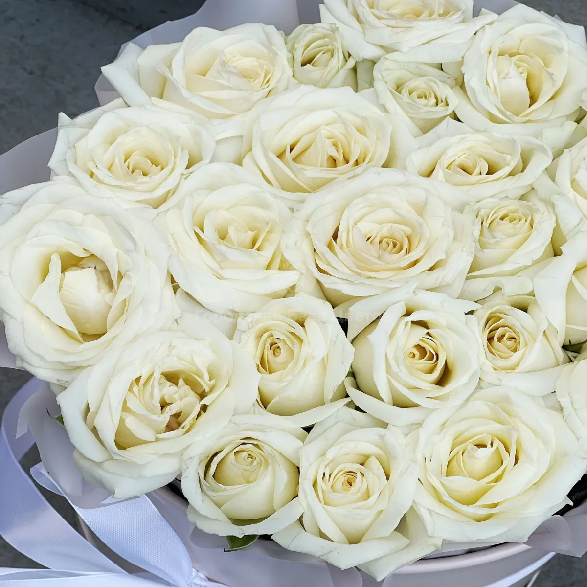 35 белых роз (50 см)