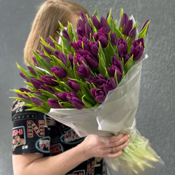 65 бордово-фиолетовых тюльпанов
