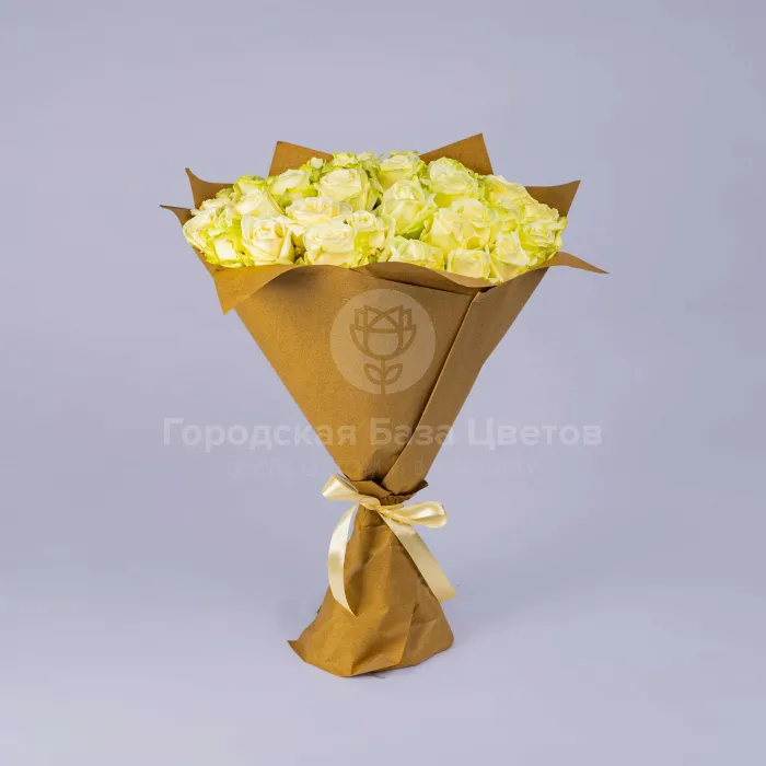 33 бело-зеленые розы (70 см)