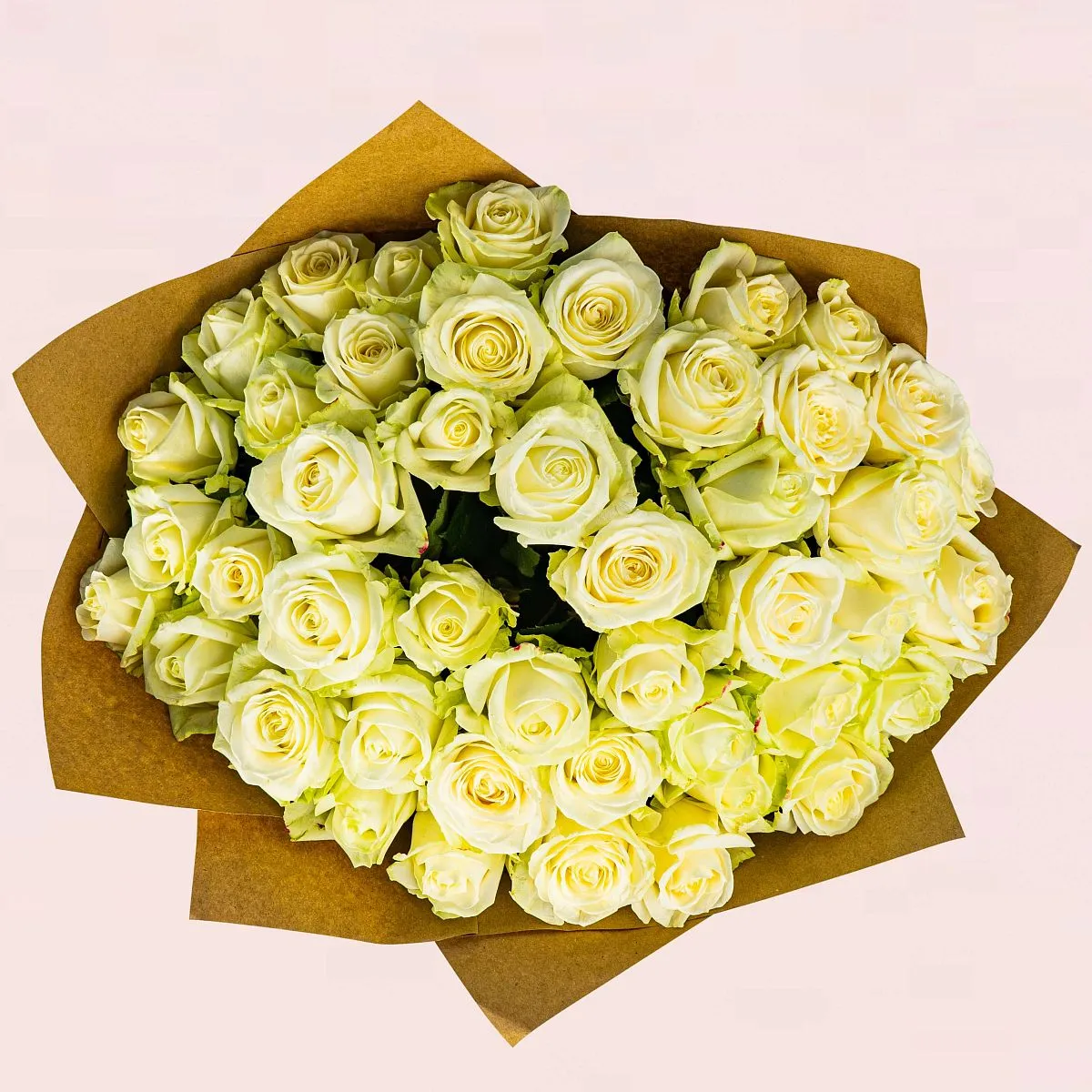53 бело-зеленые розы (50 см)