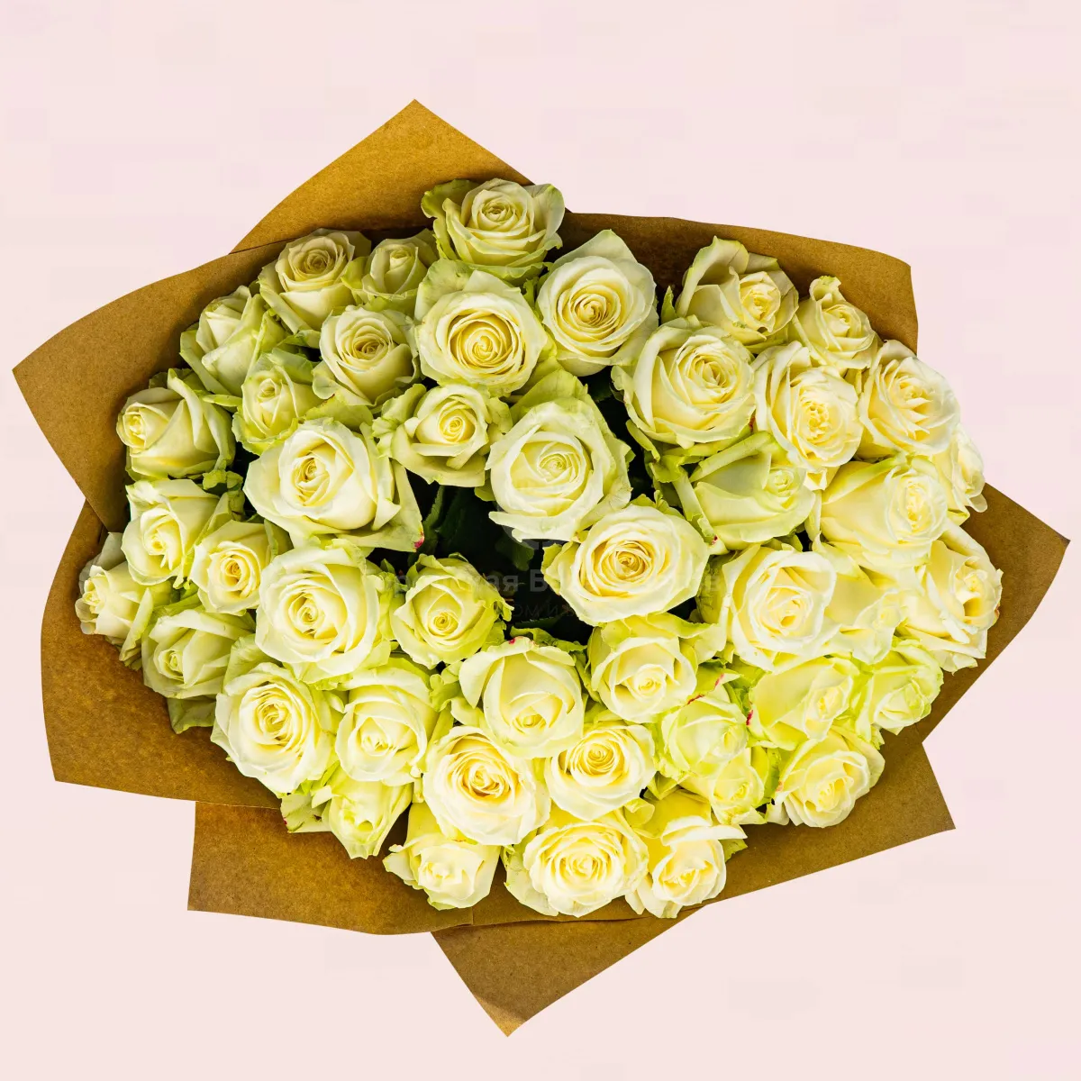 57 бело-зеленых роз (50 см)