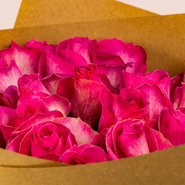 29 ярко-розовых роз (50см)