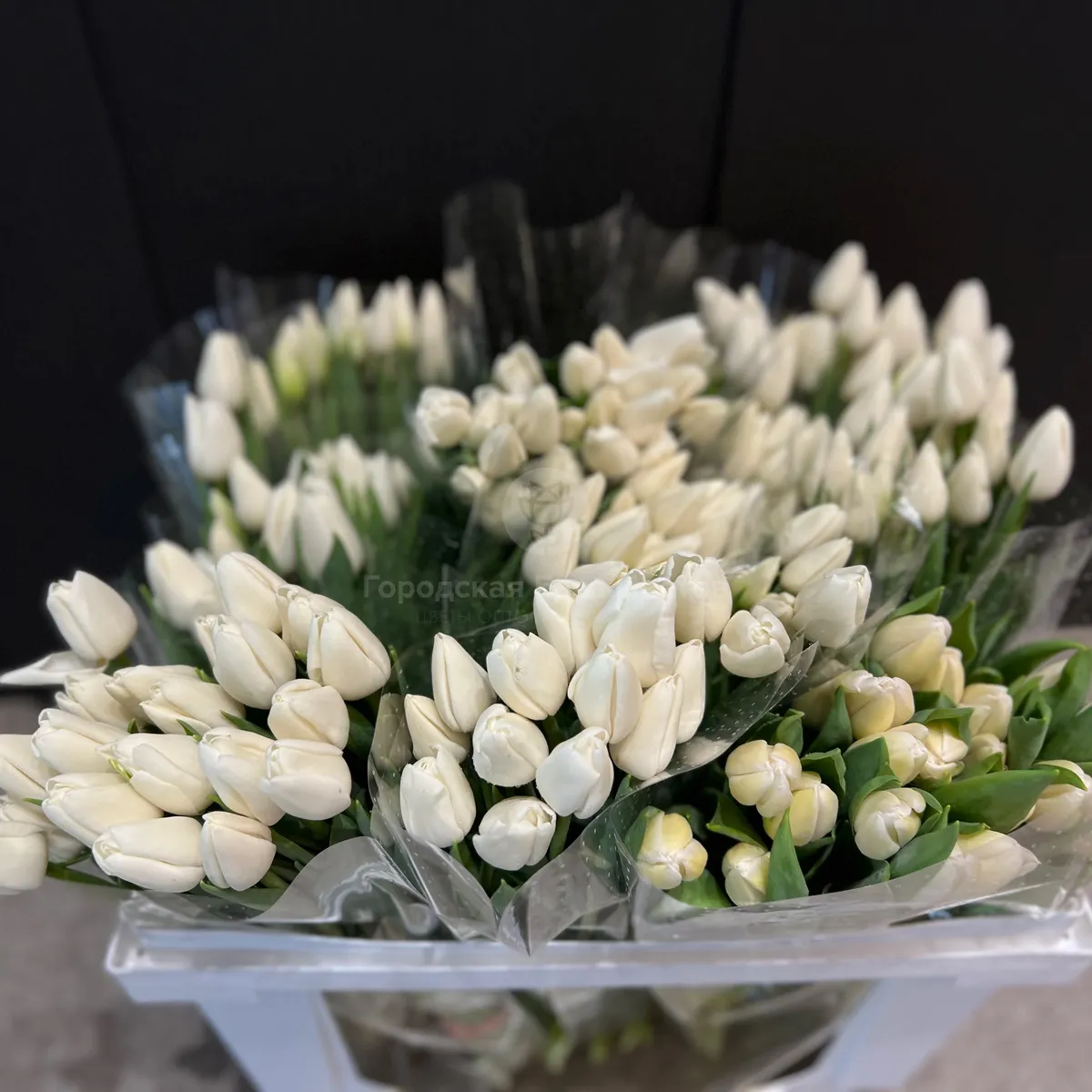 29 белых тюльпанов фото №2 29 белых тюльпанов