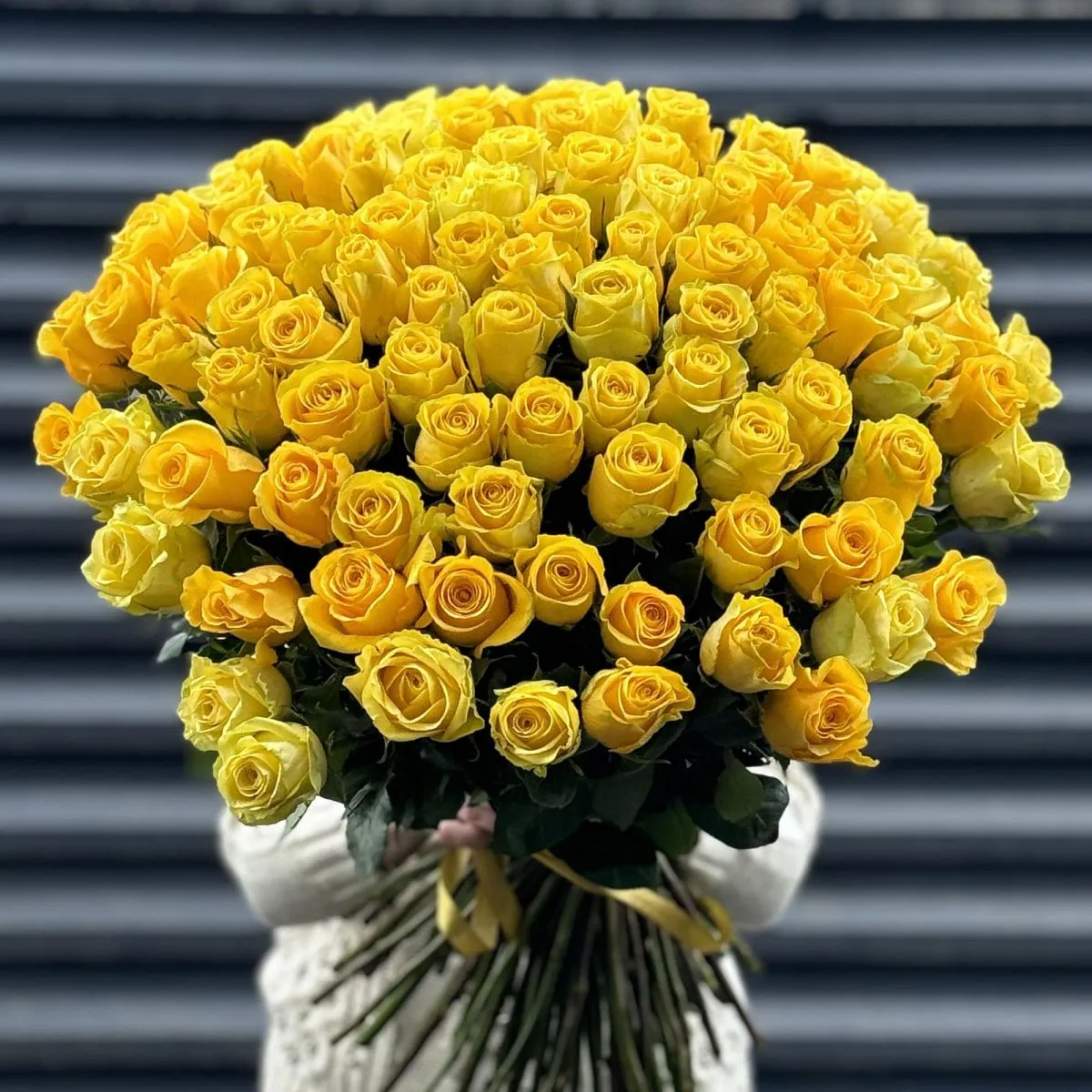 Букет 101 желтая роза эквадор (60см)