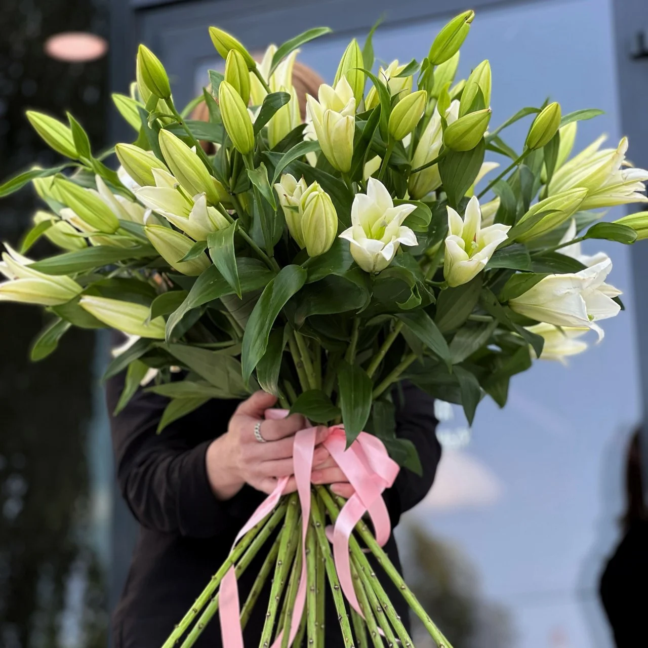 21 бело-зелёная лилия