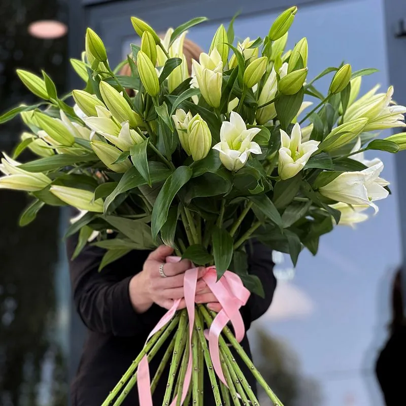21 бело-зелёная лилия