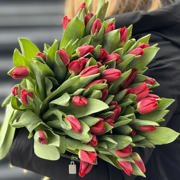 45 красных тюльпанов